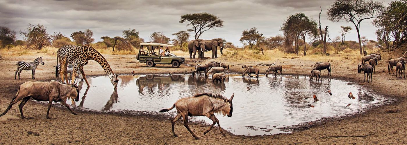Safari Tour - Turkana Wildlife Safaris